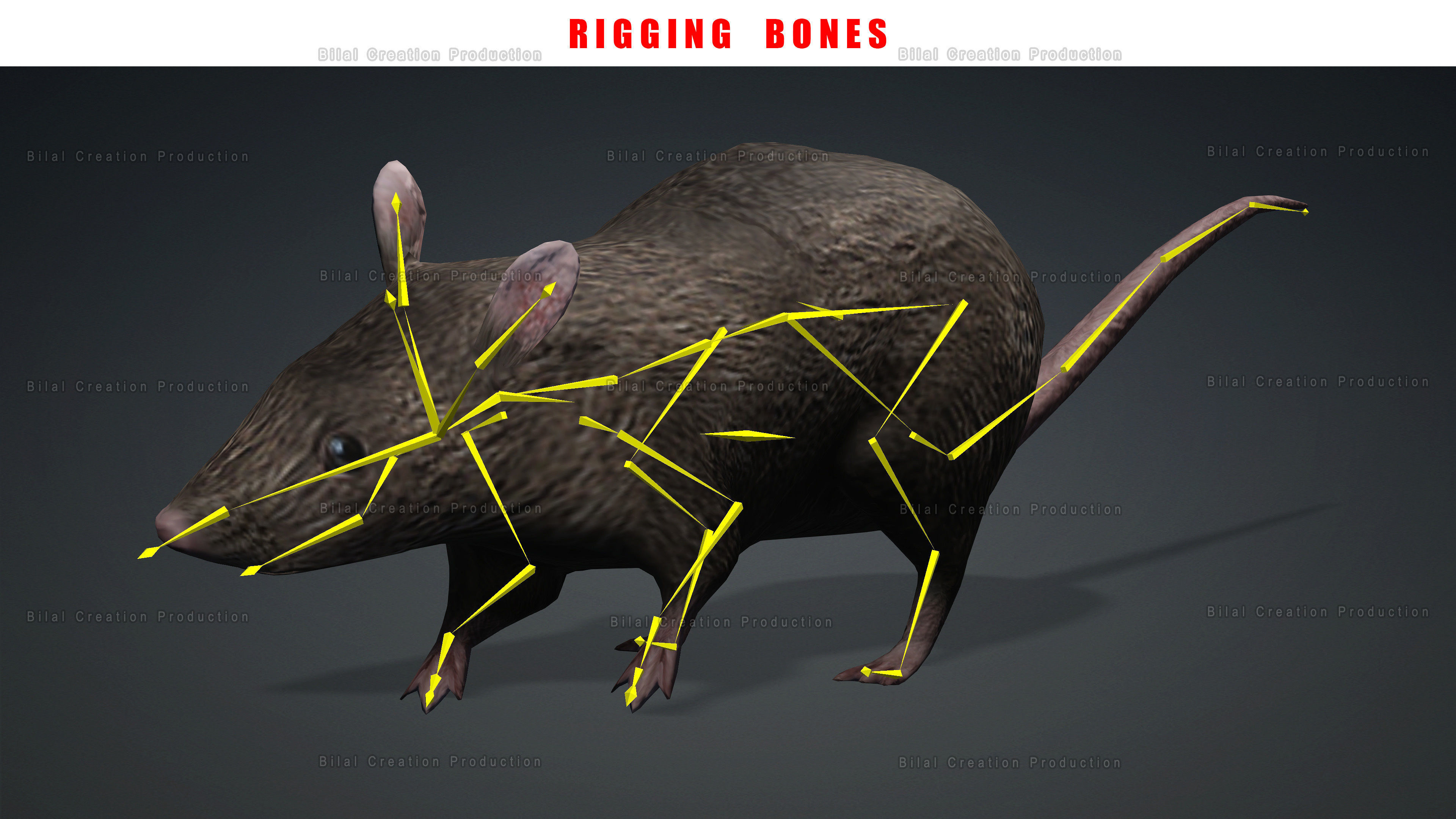 MOUSE GRAY RAT ANIMATED Low-poly 3D model_16