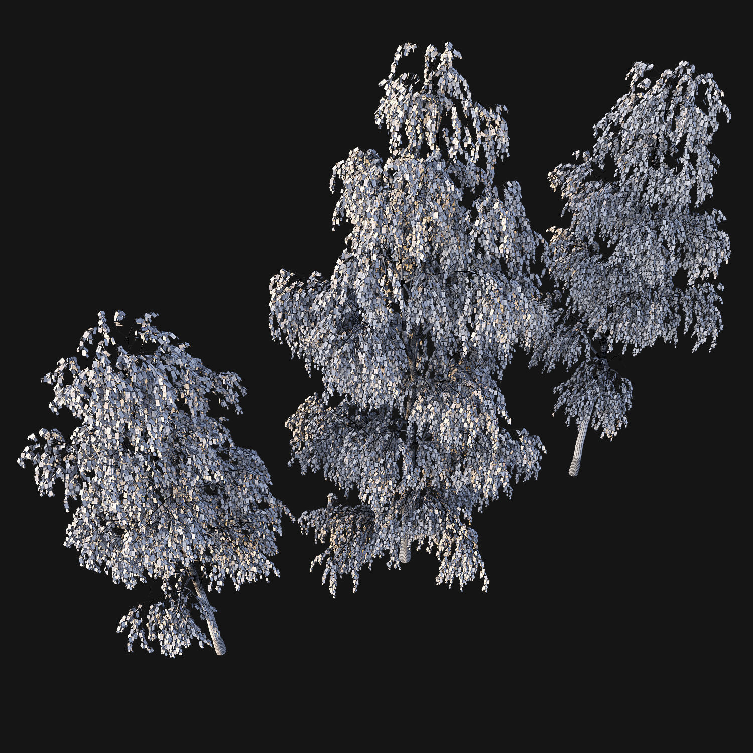 Birch Tree Set 3D model_7