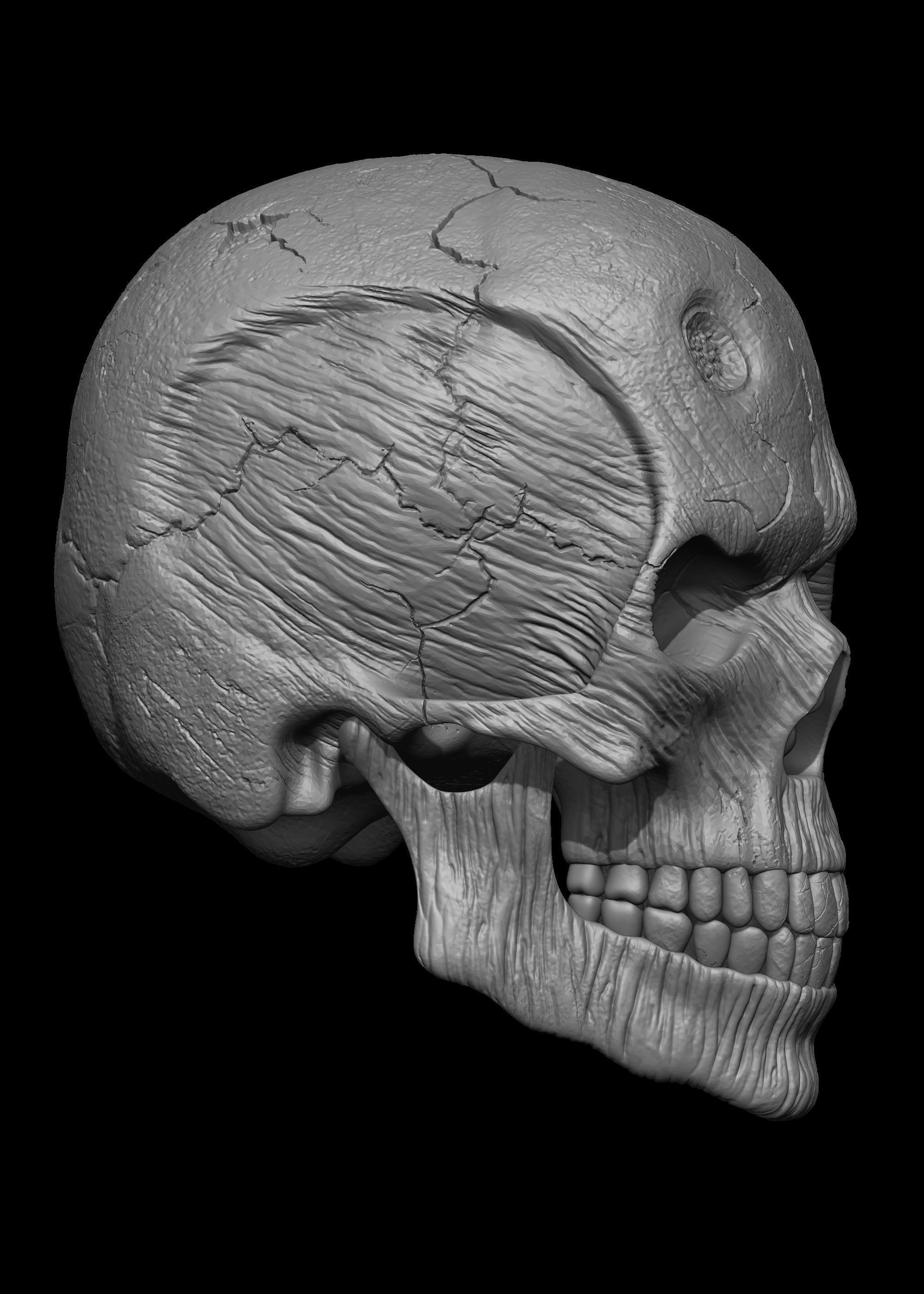 Monster Skull 3D Model 3D print model_20