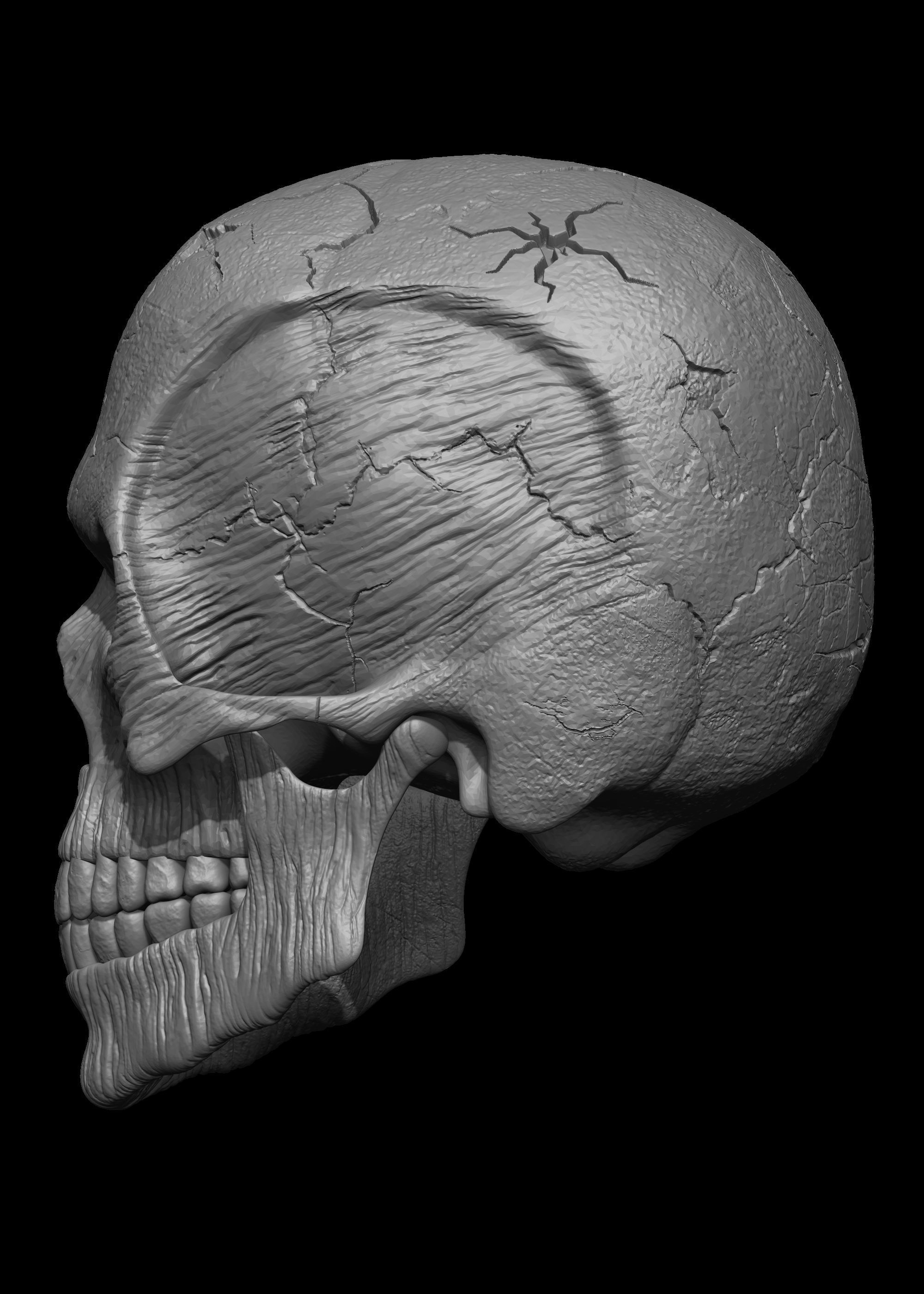 Monster Skull 3D Model 3D print model_8