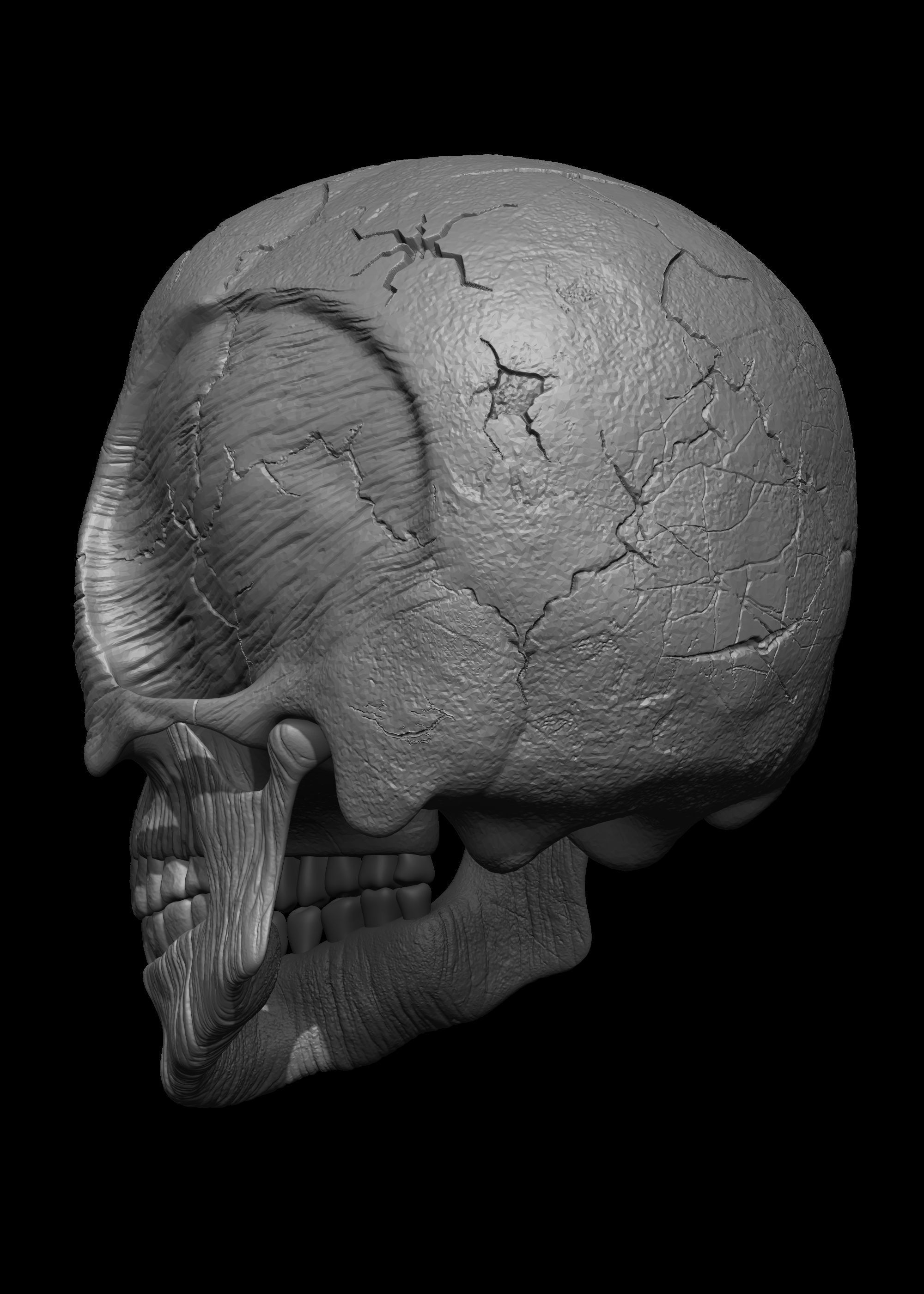 Monster Skull 3D Model 3D print model_10