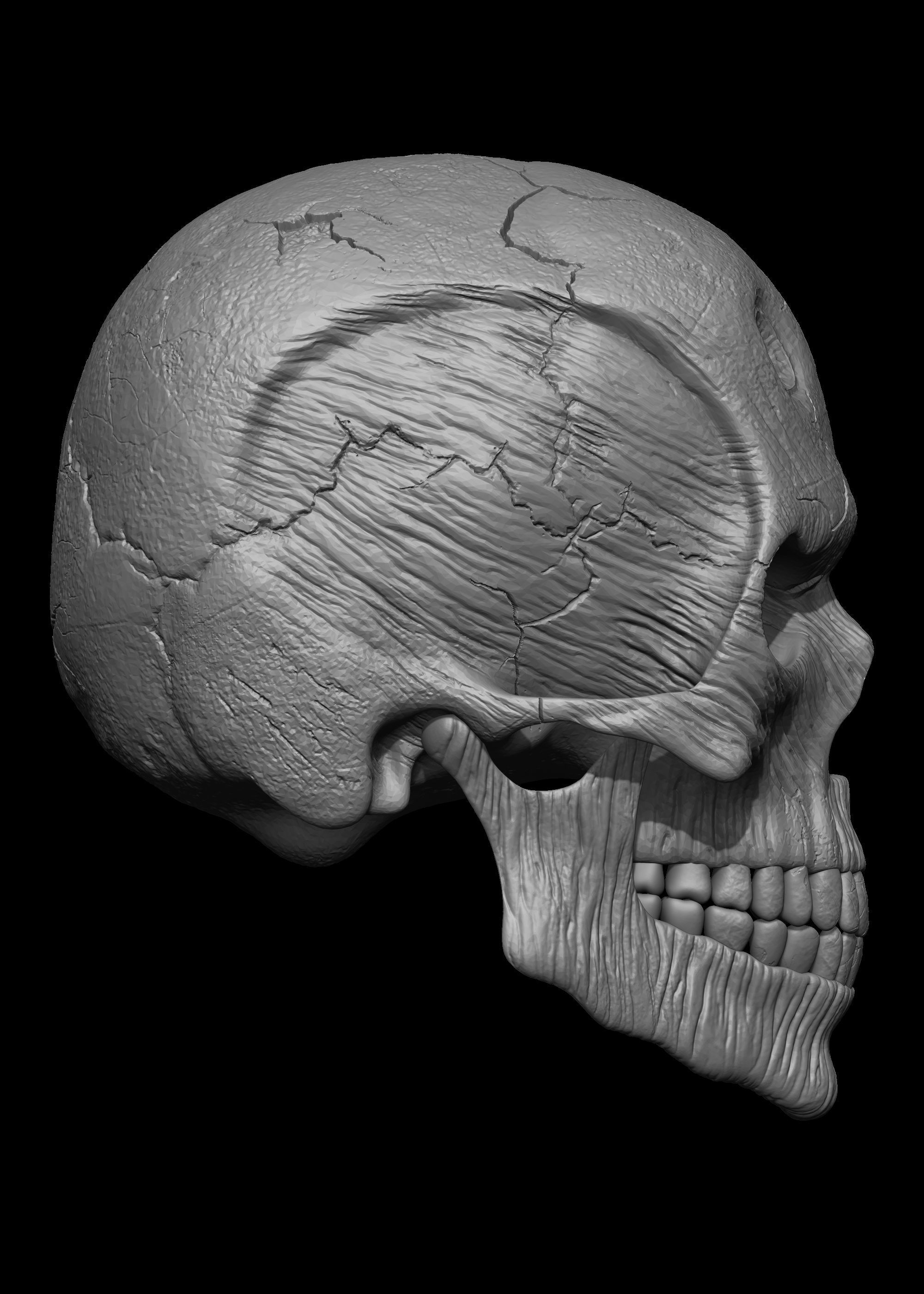 Monster Skull 3D Model 3D print model_18