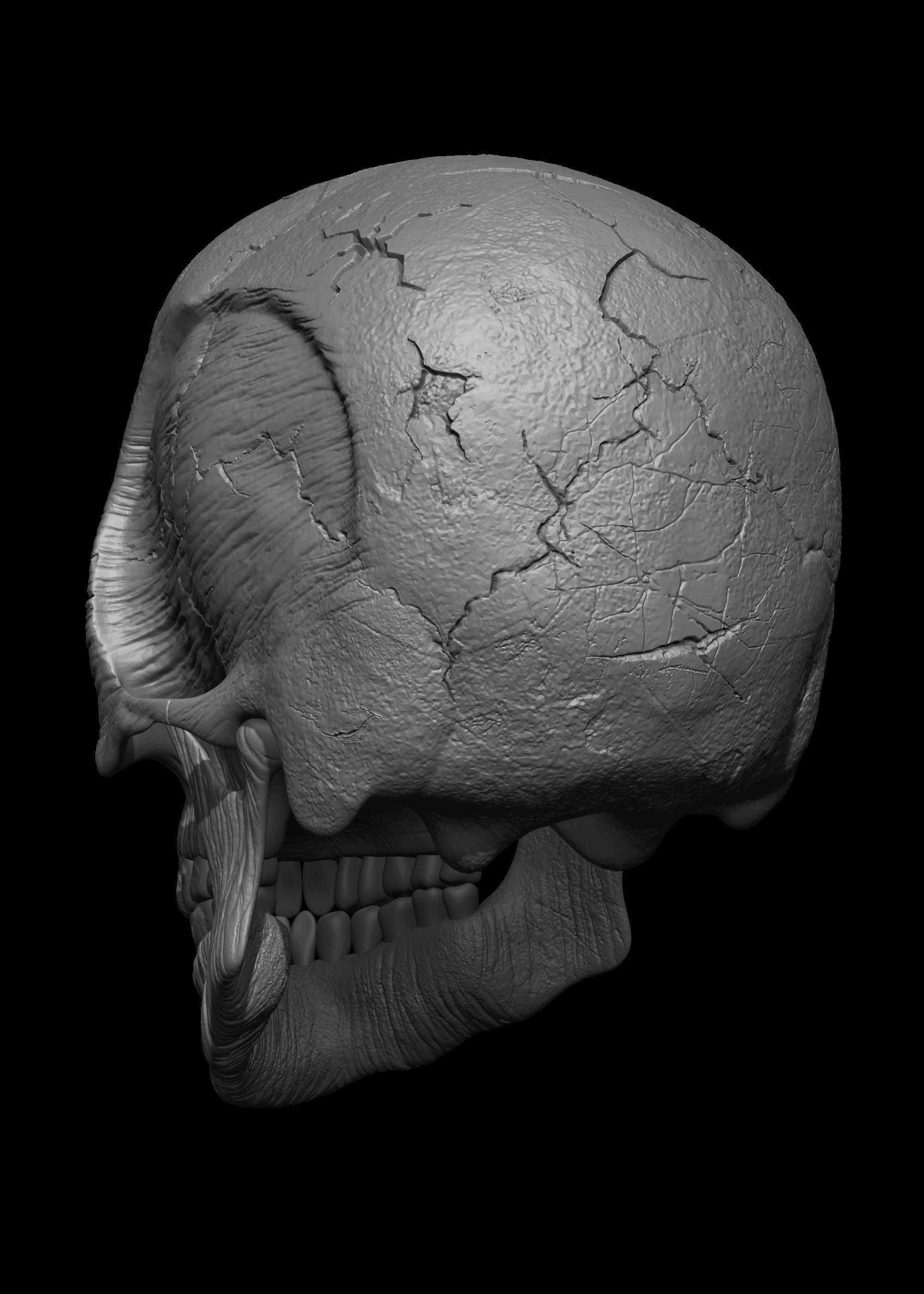 Monster Skull 3D Model 3D print model_13