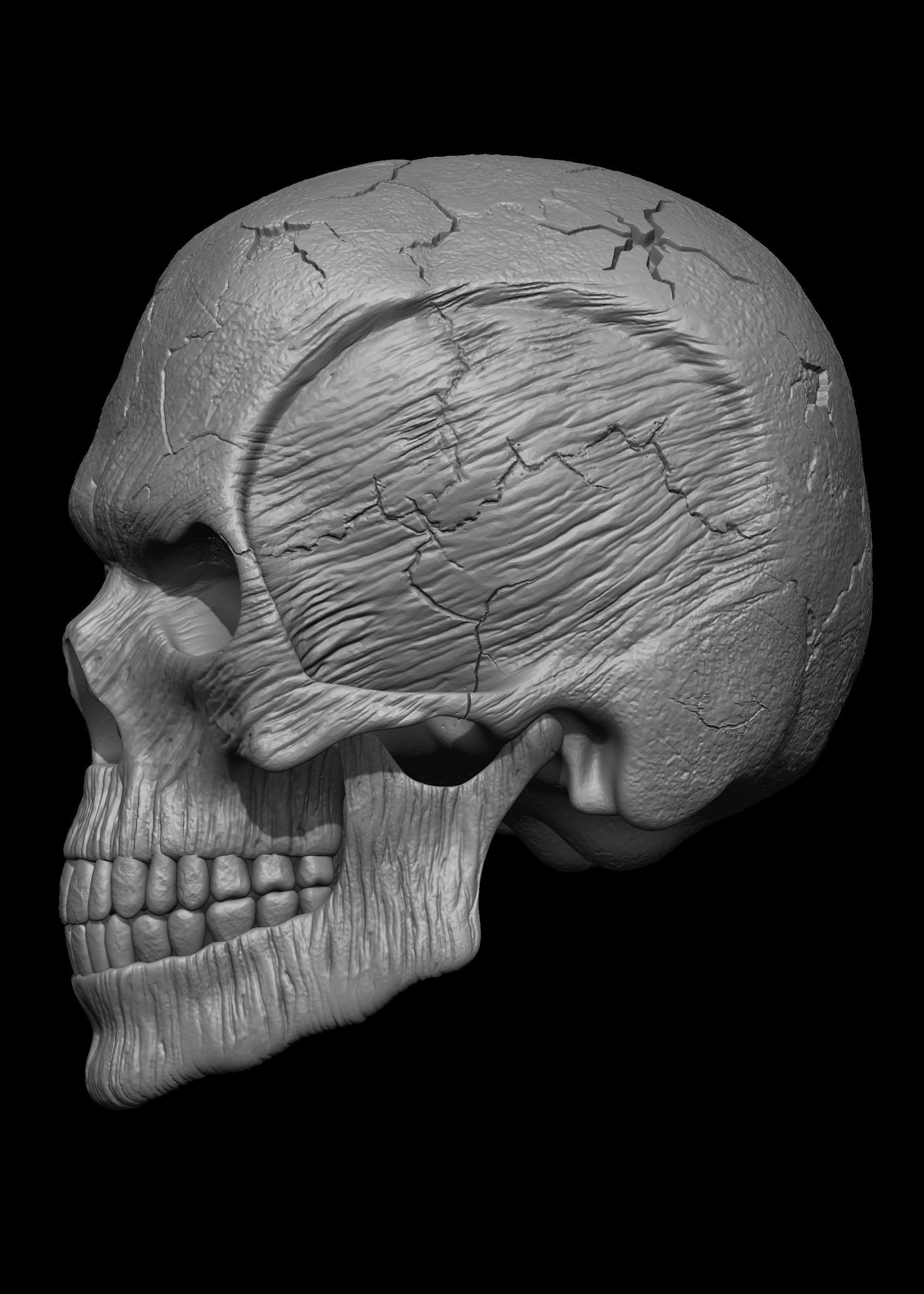 Monster Skull 3D Model 3D print model_7