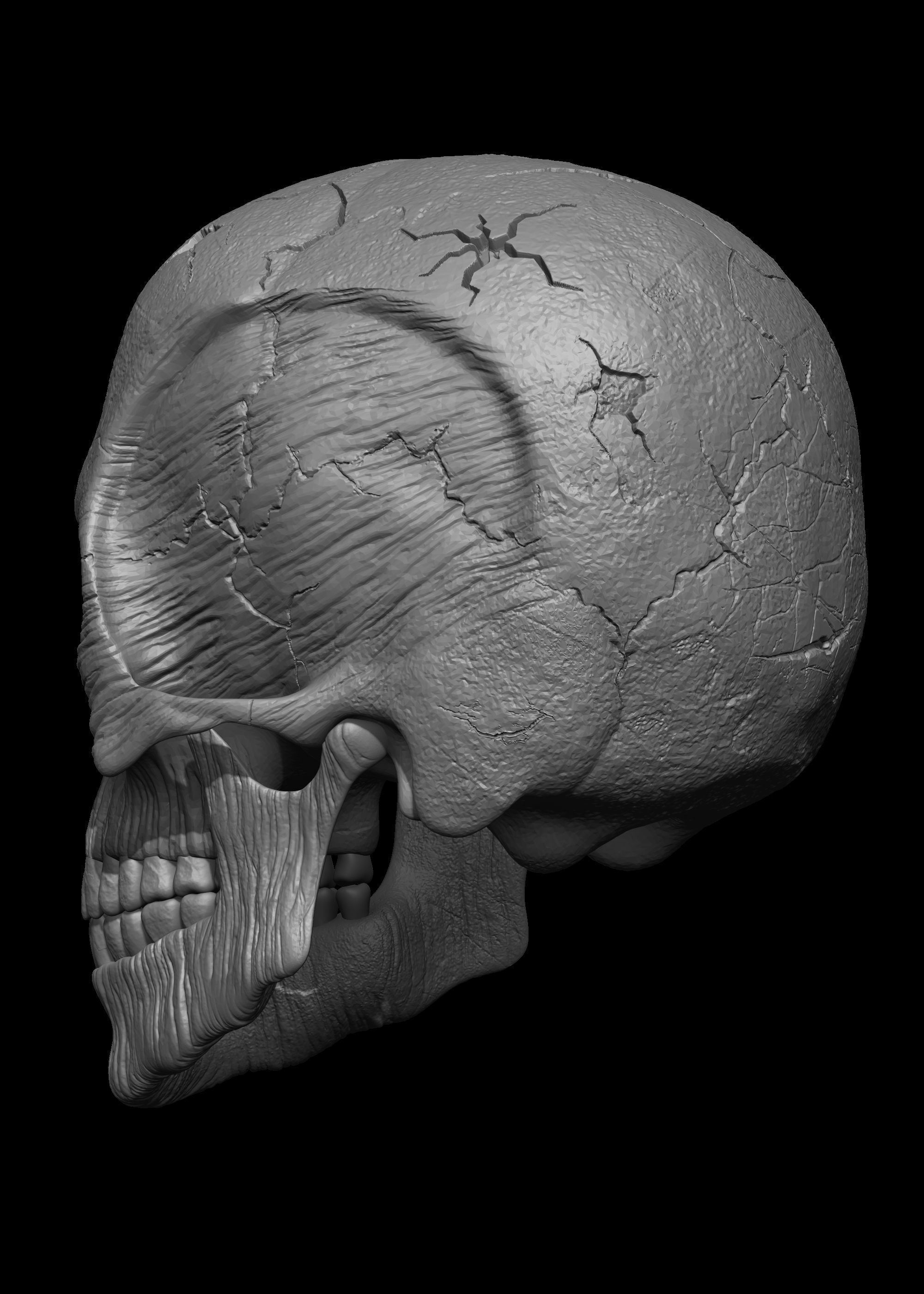 Monster Skull 3D Model 3D print model_9