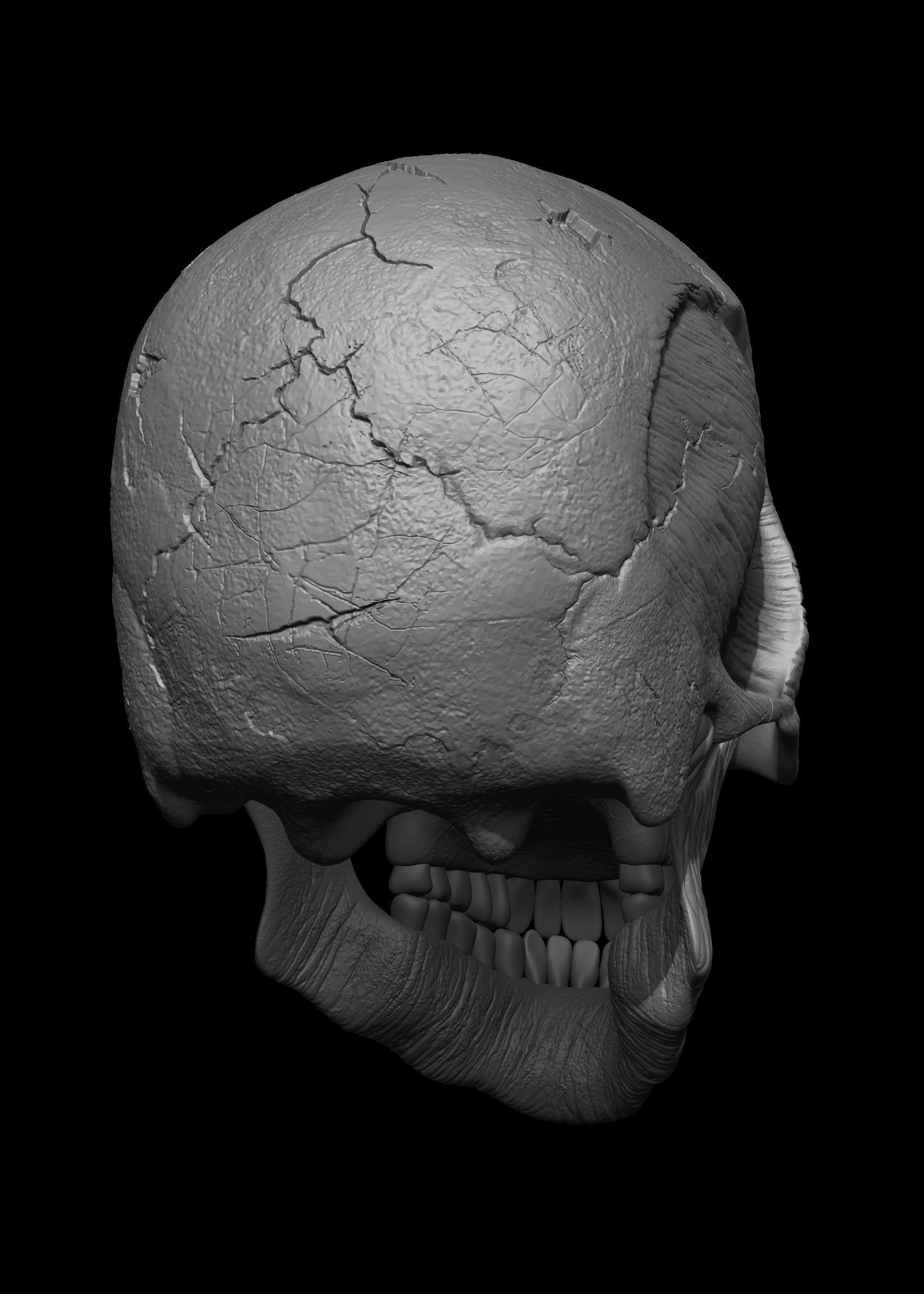 Monster Skull 3D Model 3D print model_14