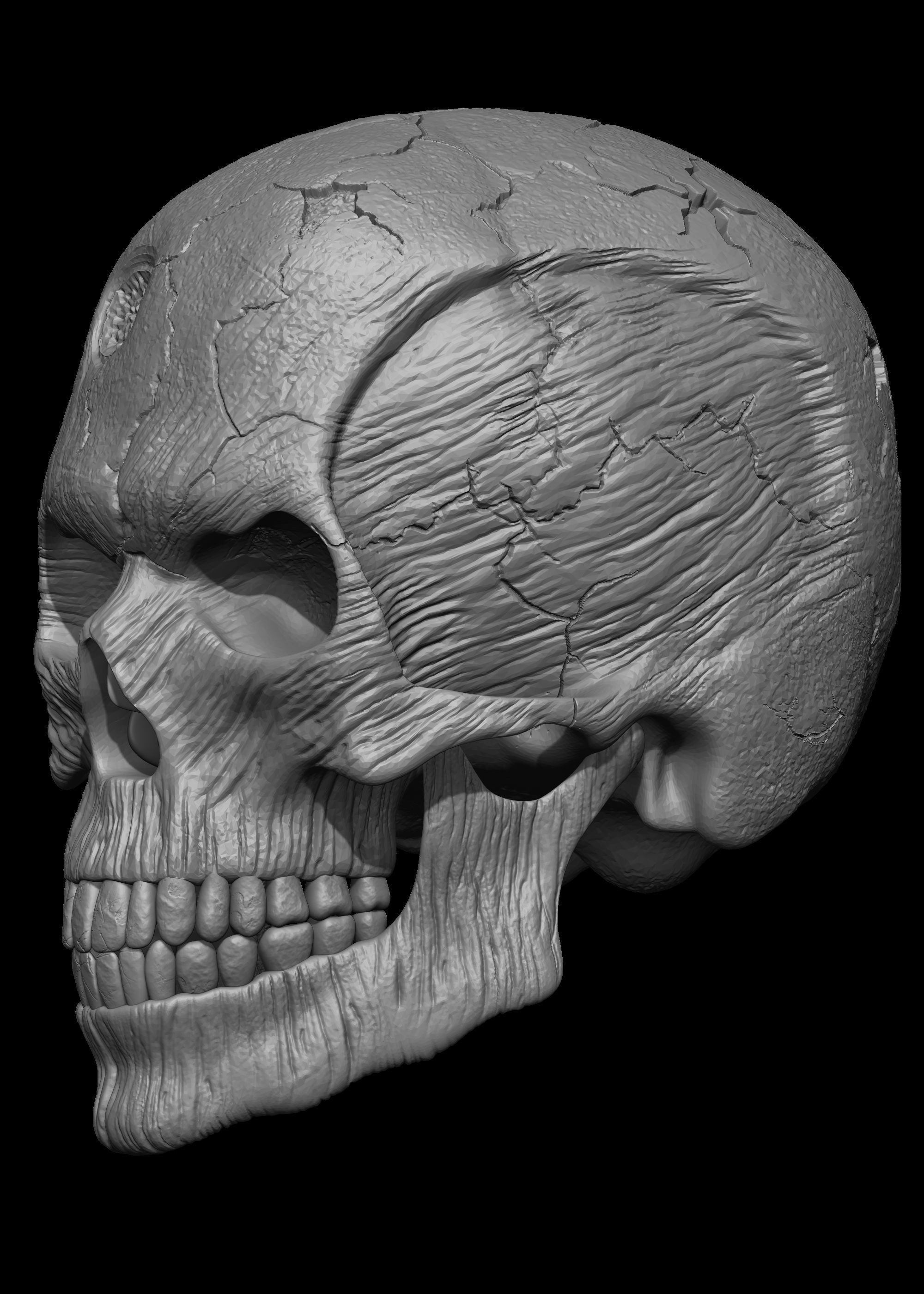 Monster Skull 3D Model 3D print model_6