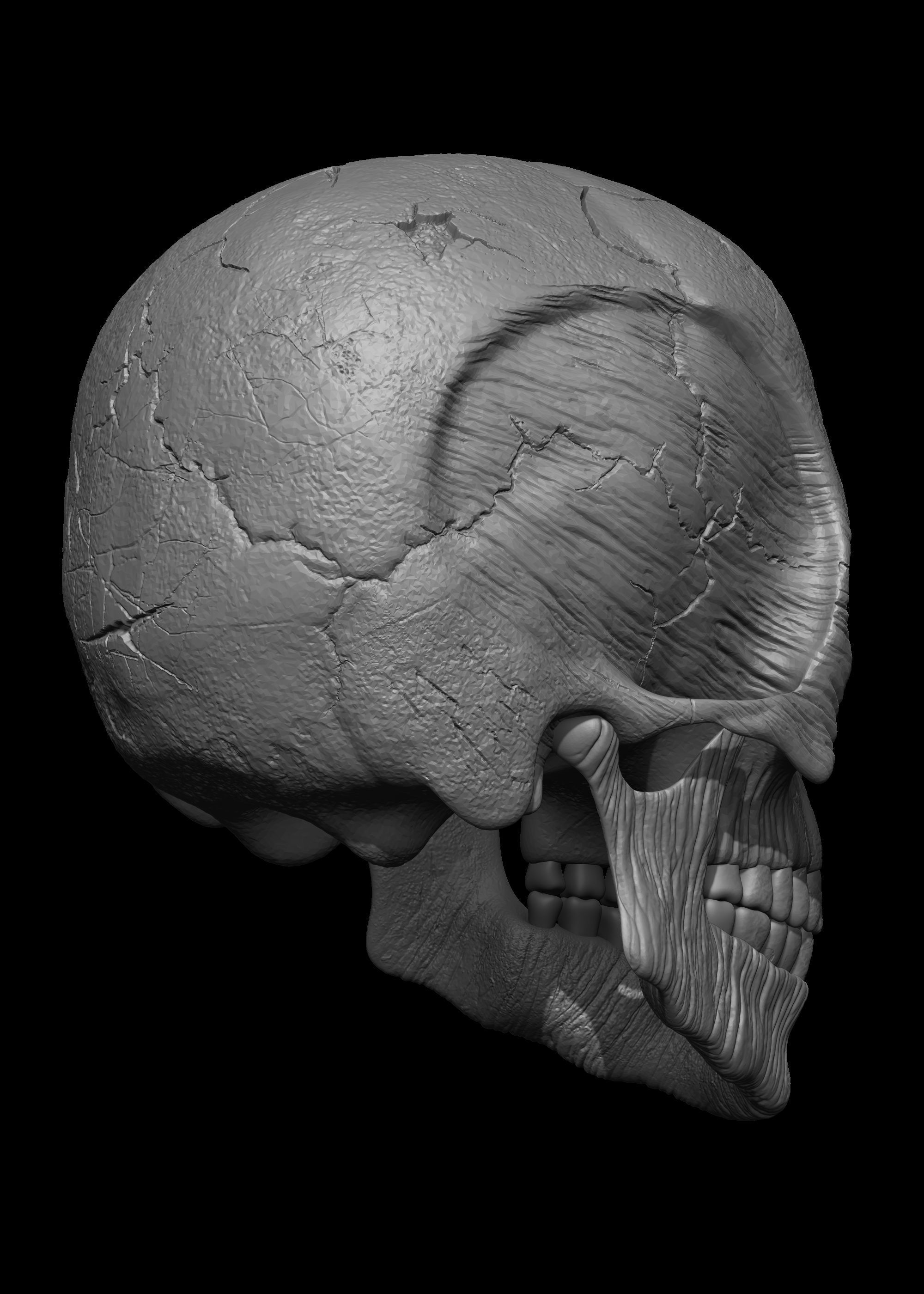 Monster Skull 3D Model 3D print model_17