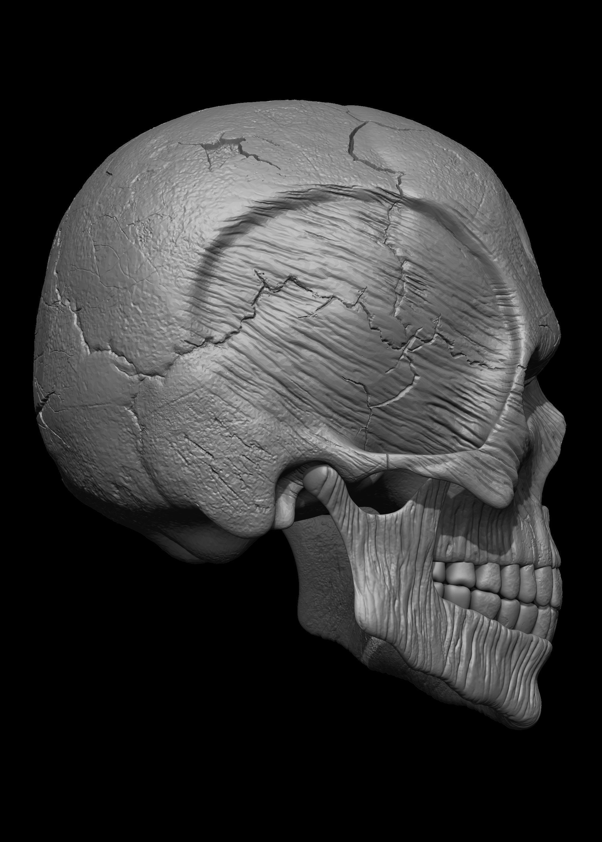Monster Skull 3D Model 3D print model_19