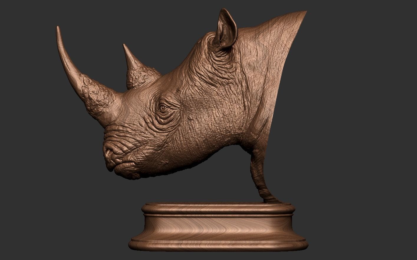 Rhinoceros head 3D print model_16