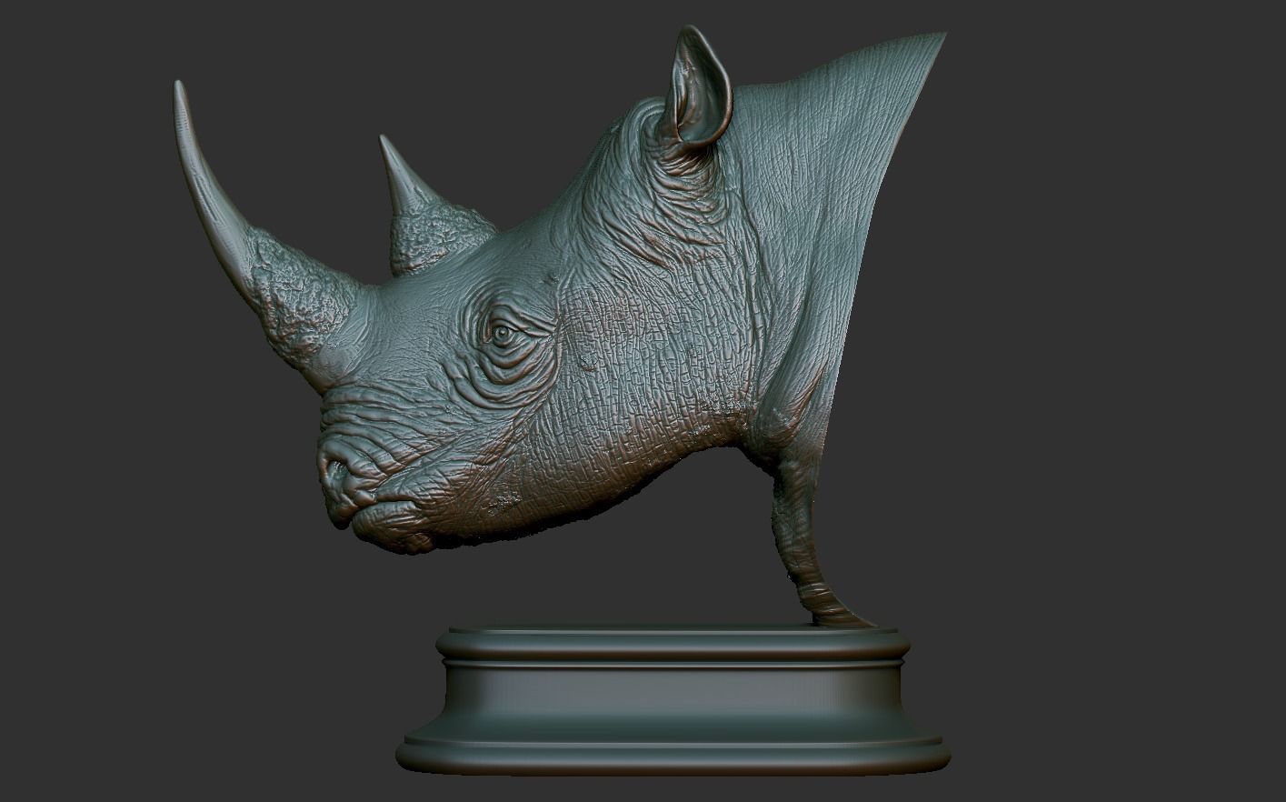 Rhinoceros head 3D print model_14