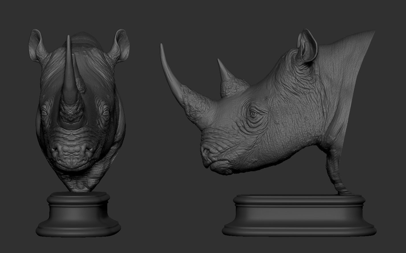 Rhinoceros head 3D print model_9