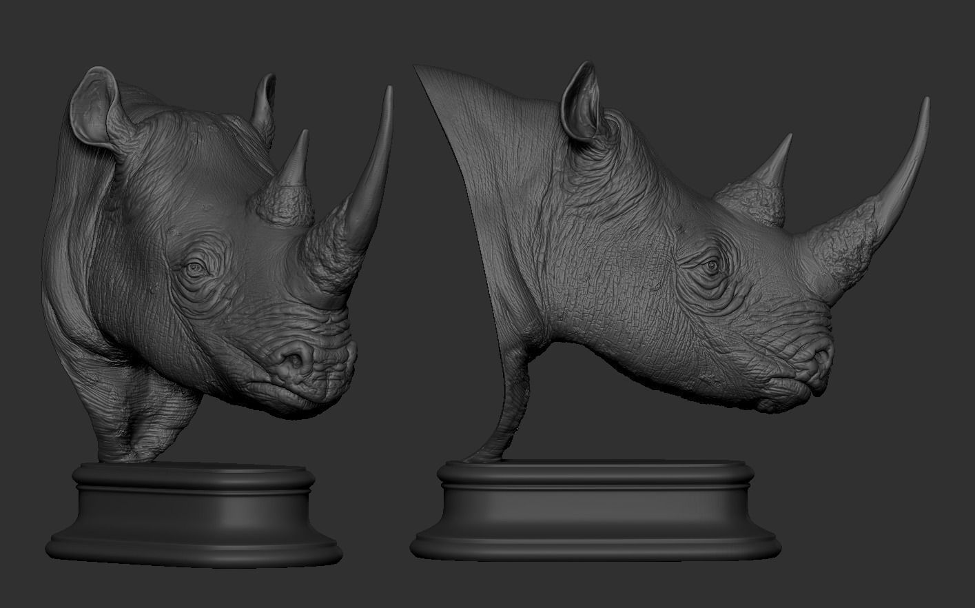 Rhinoceros head 3D print model_10