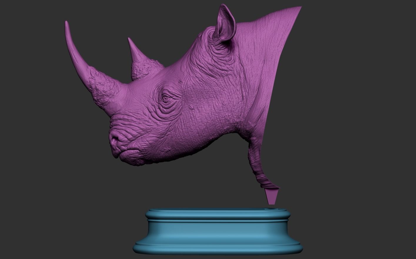 Rhinoceros head 3D print model_18