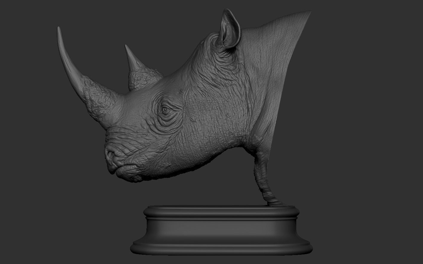 Rhinoceros head 3D print model_12