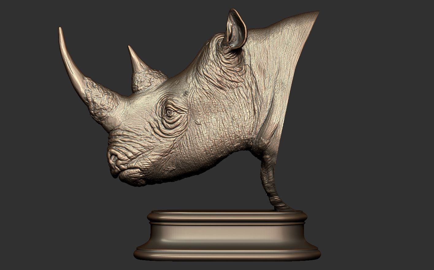 Rhinoceros head 3D print model_13