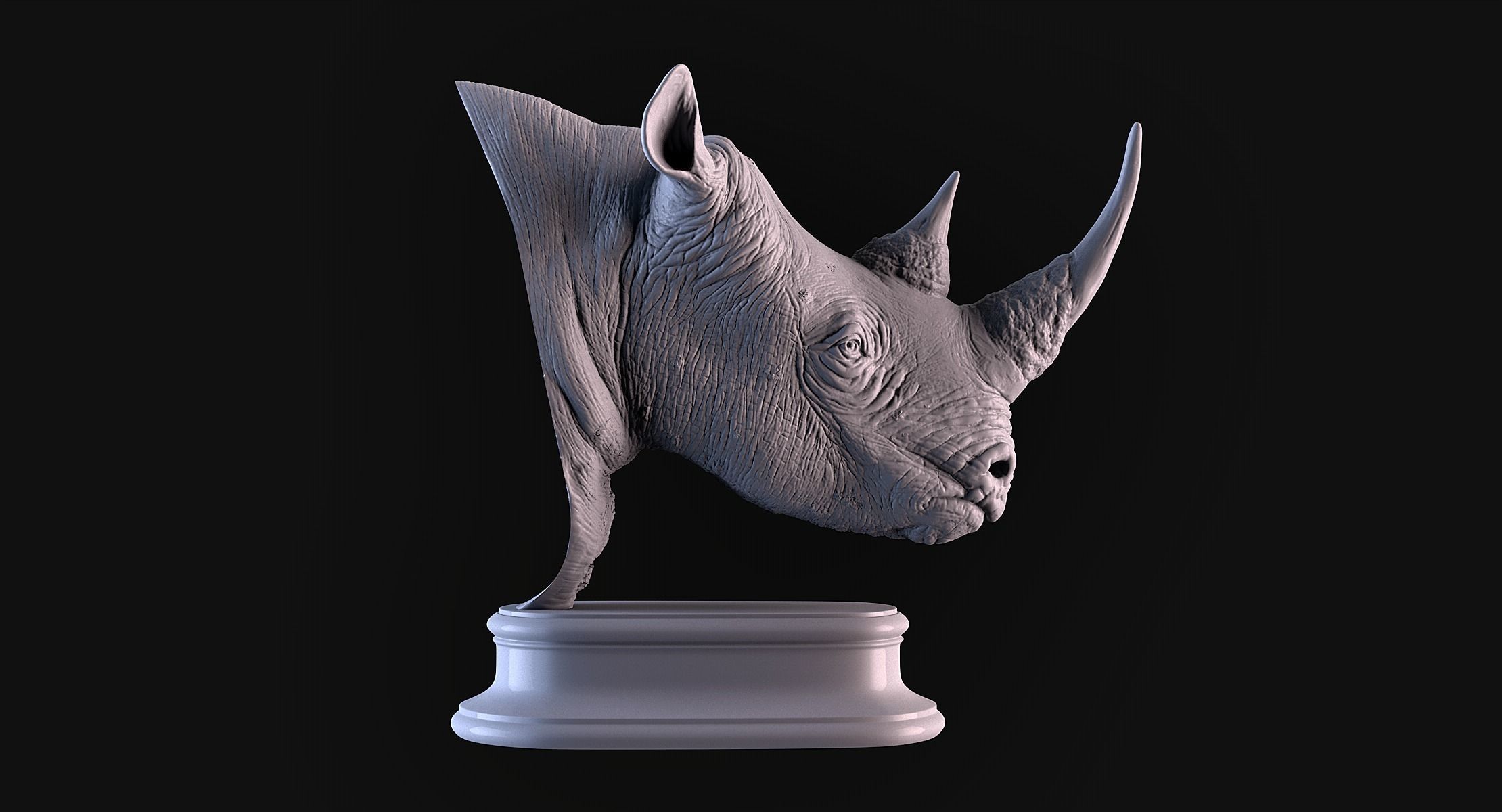 Rhinoceros head 3D print model_5