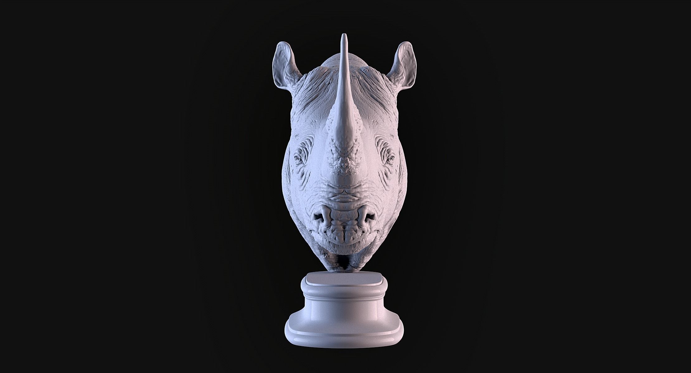Rhinoceros head 3D print model_3