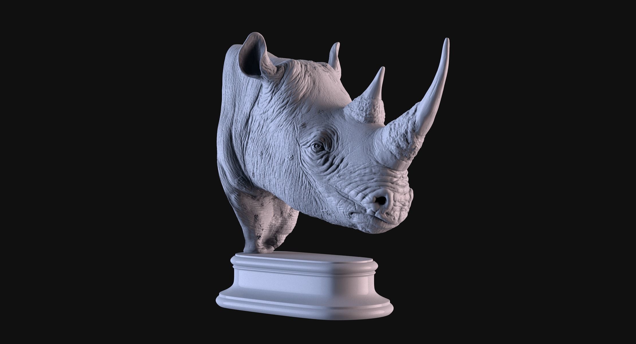 Rhinoceros head 3D print model_4