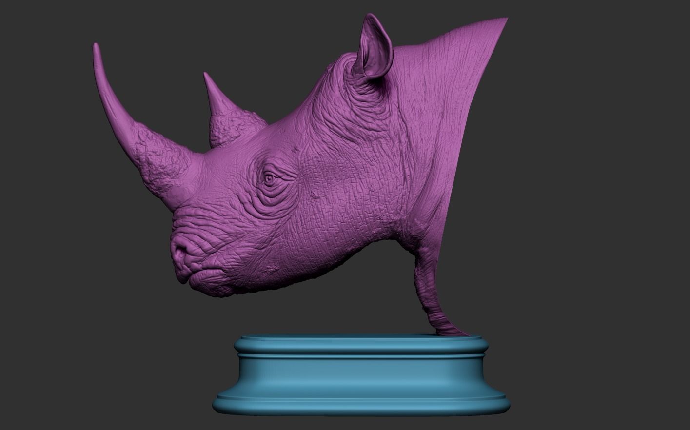 Rhinoceros head 3D print model_17