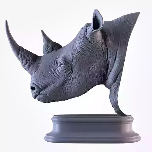 Rhinoceros head