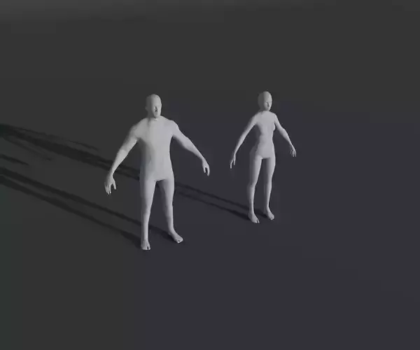 Male and Female Body Base Mesh 28 Animations 3D Model 3D Model Collection