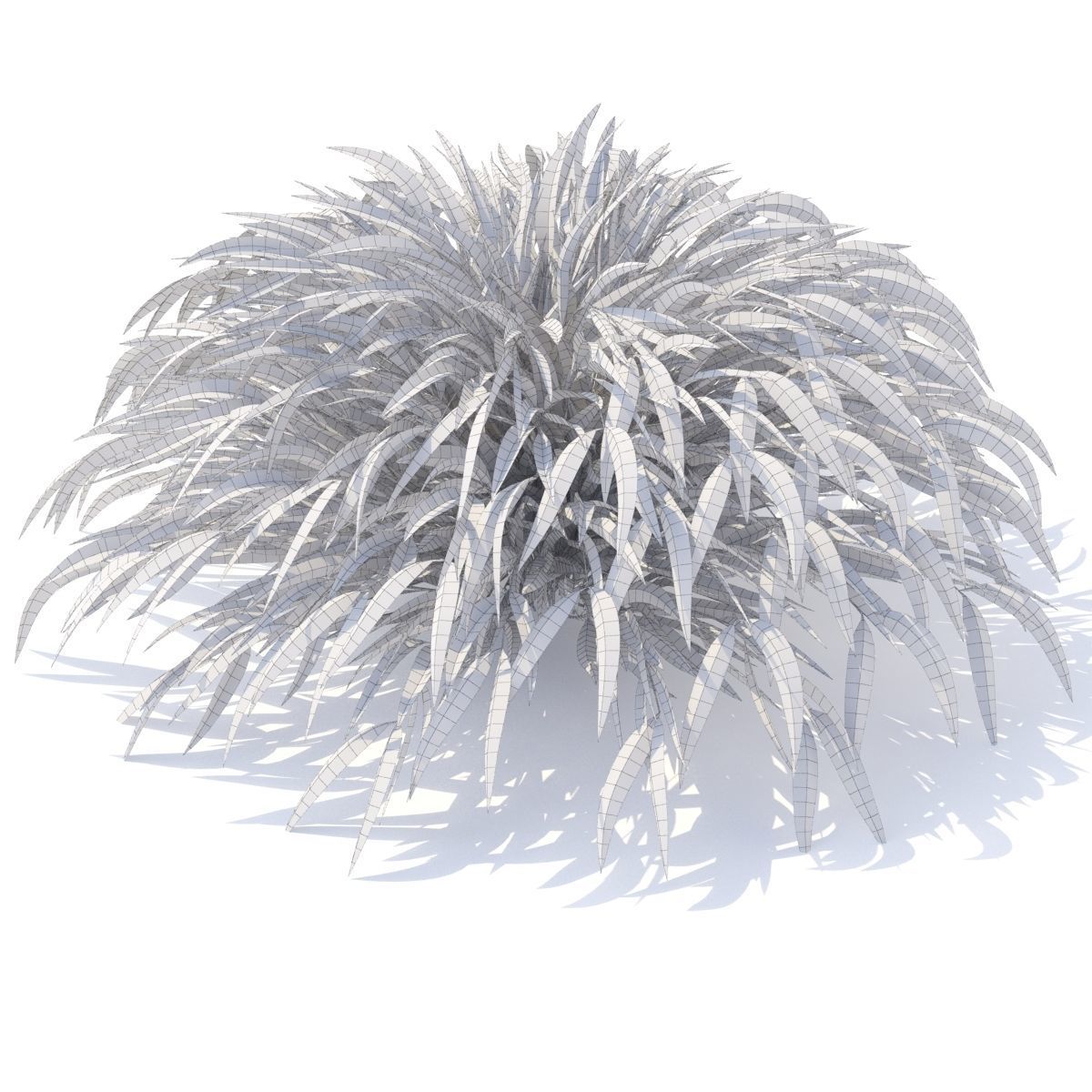 Hakonechloa macra grass vol 2 3D model_5