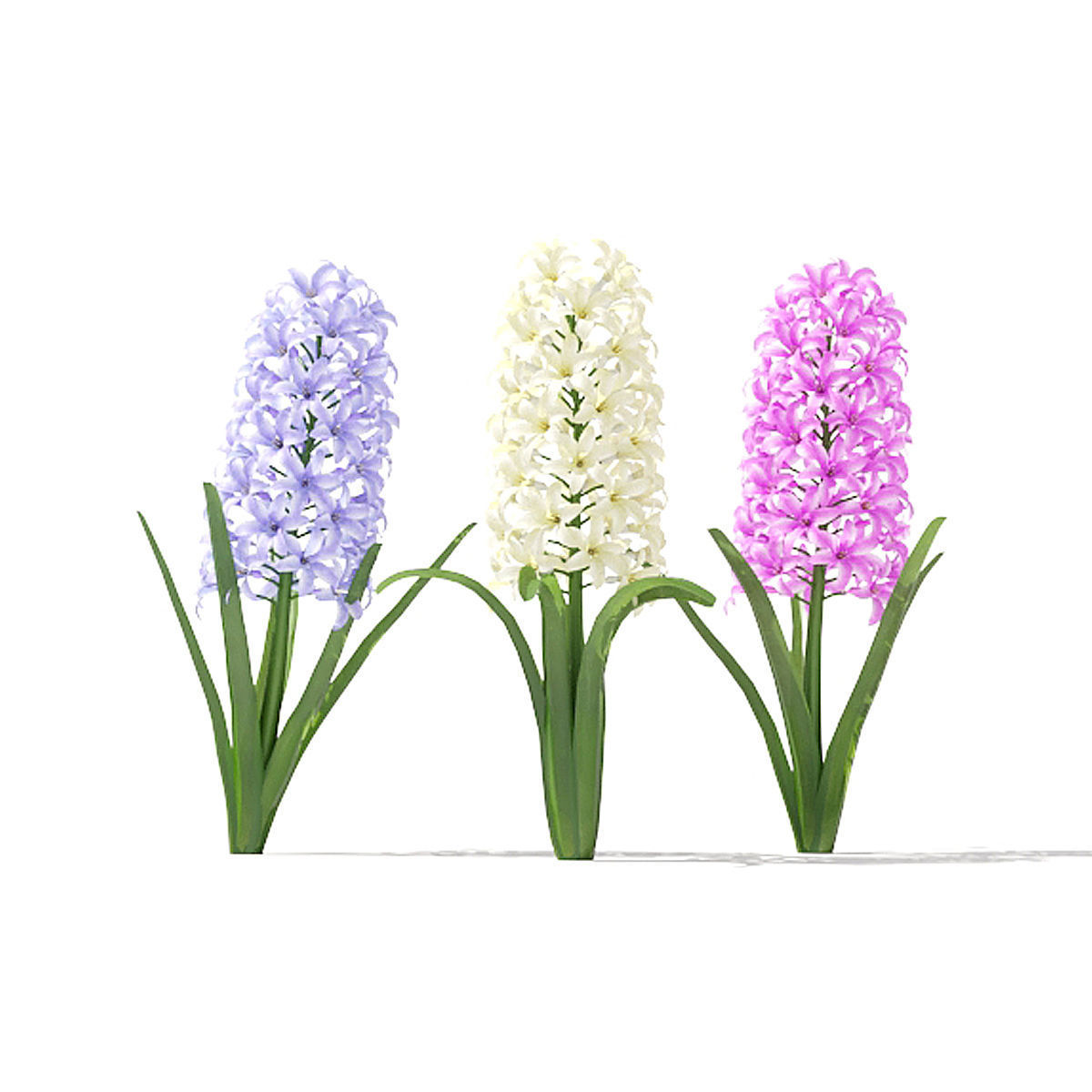  Spring flowers vol 1 3D model_4