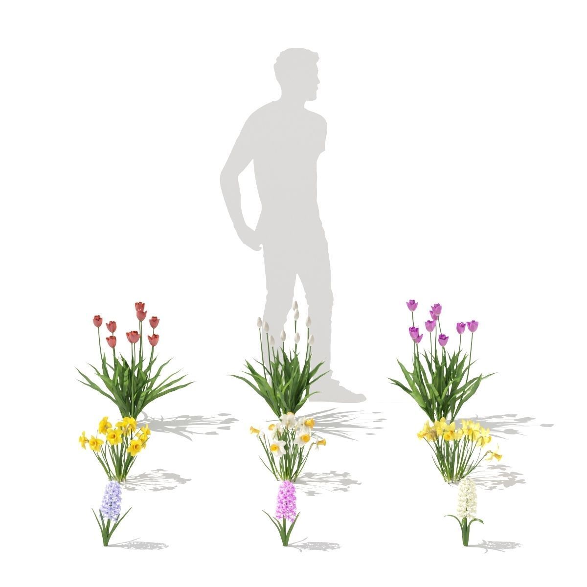  Spring flowers vol 1 3D model_2