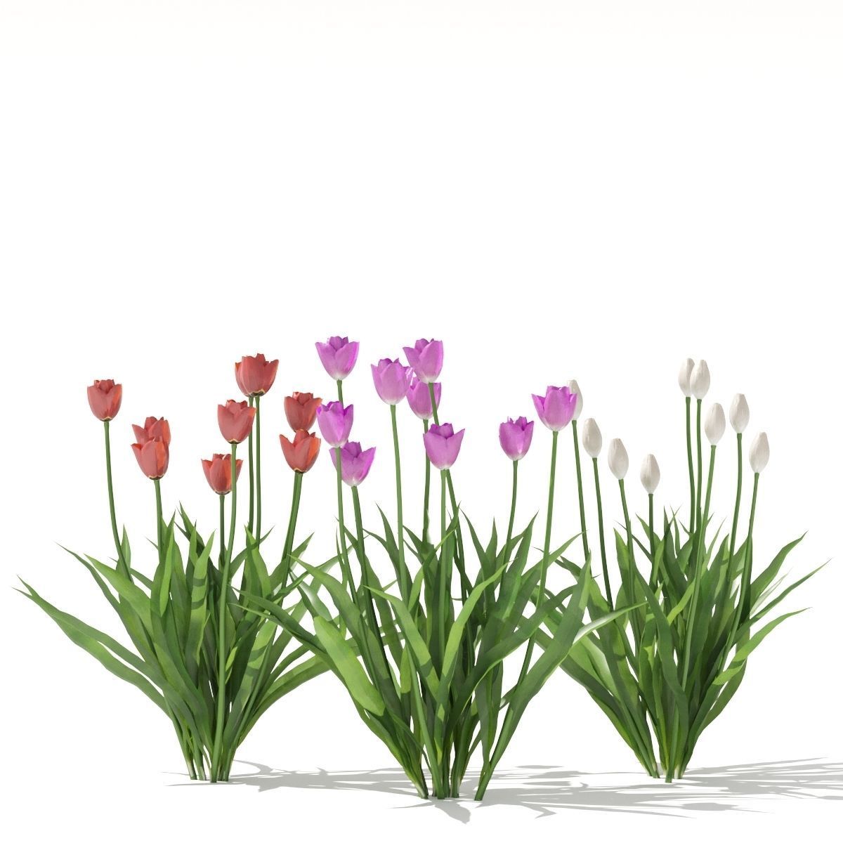  Spring flowers vol 1 3D model_10