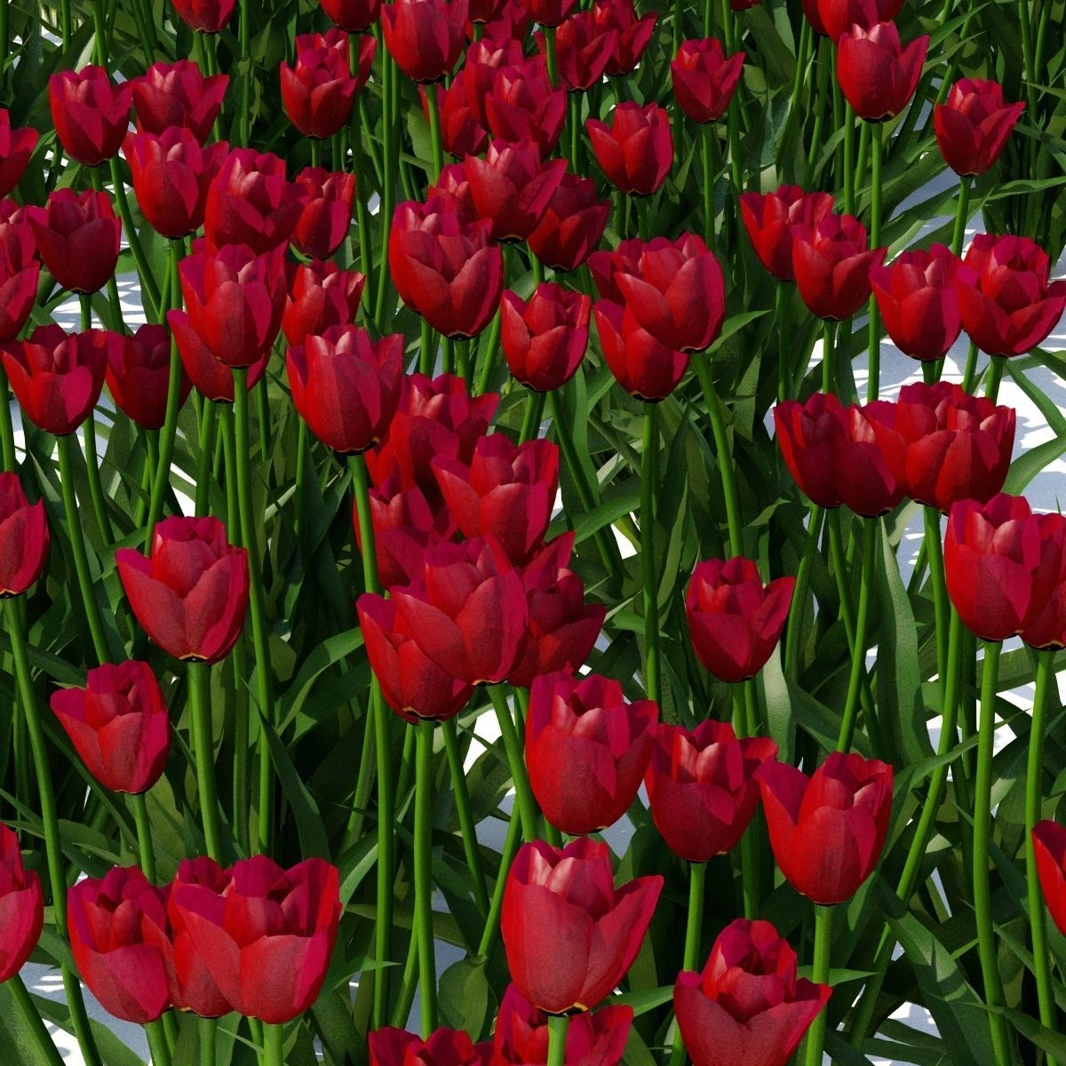  Spring flowers vol 1 3D model_6