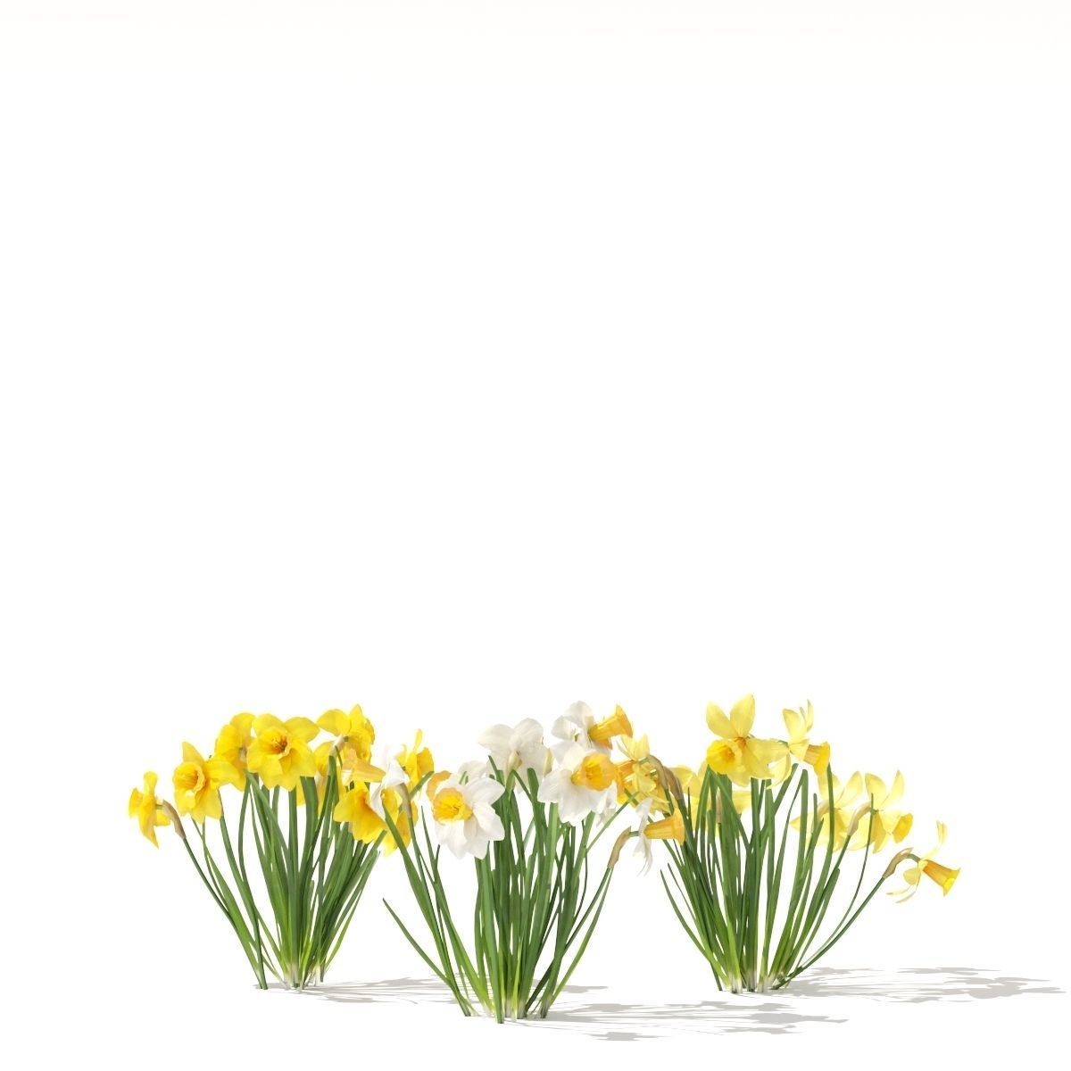  Spring flowers vol 1 3D model_9