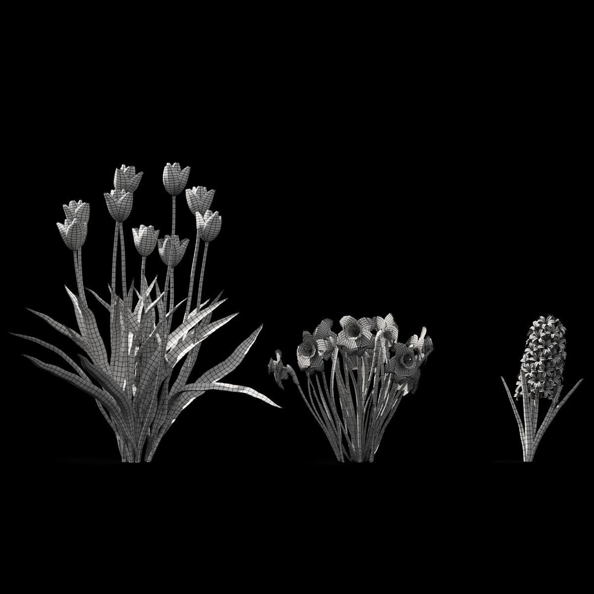  Spring flowers vol 1 3D model_3