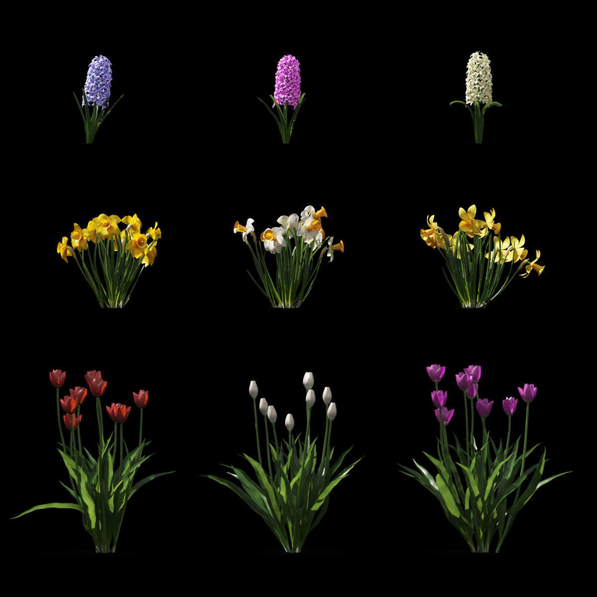 Spring flowers vol 1 3D model_1