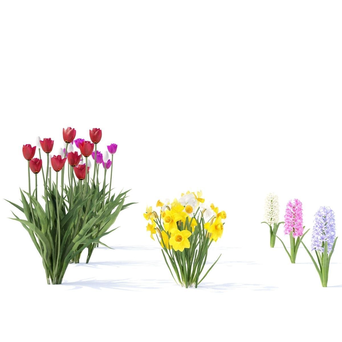  Spring flowers vol 1 3D model_5