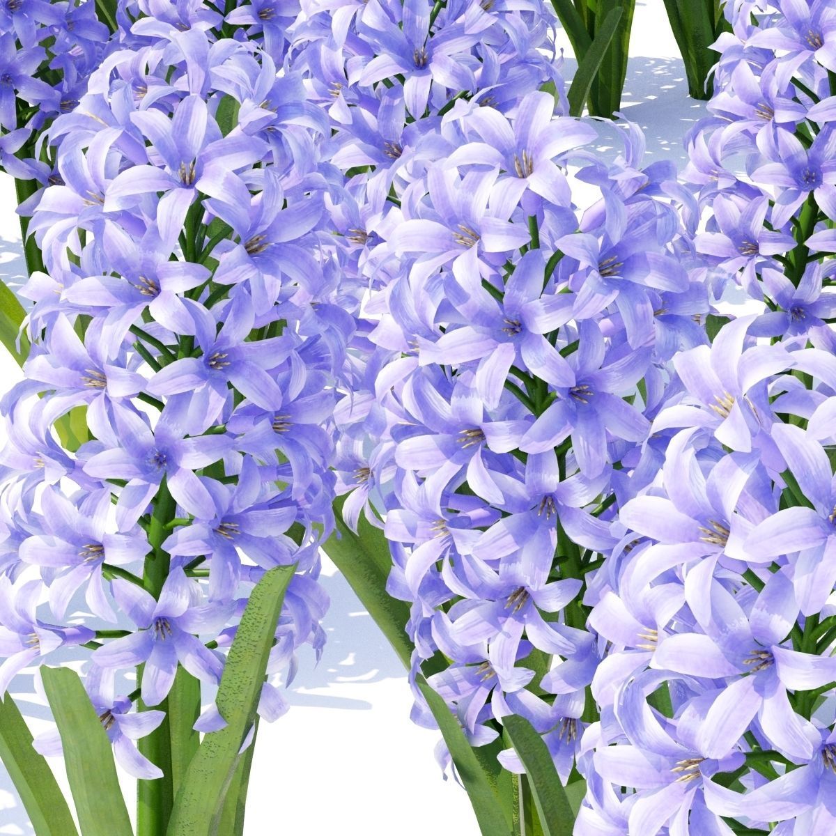  Spring flowers vol 1 3D model_8