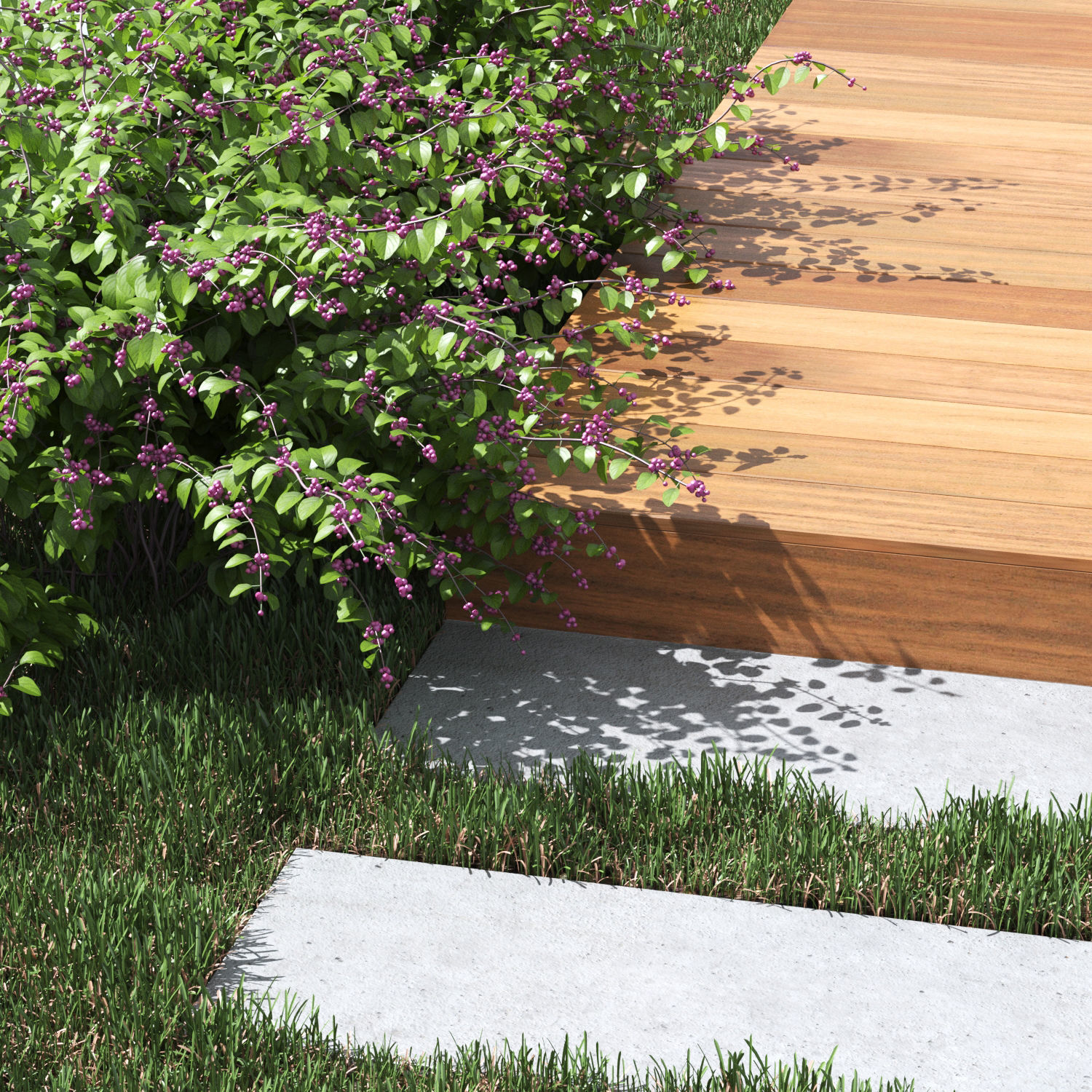 Symphoricarpos doorenbosii bush 3D model_5