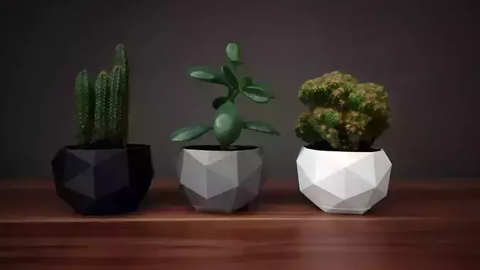 Low poly flower pot 3D print model