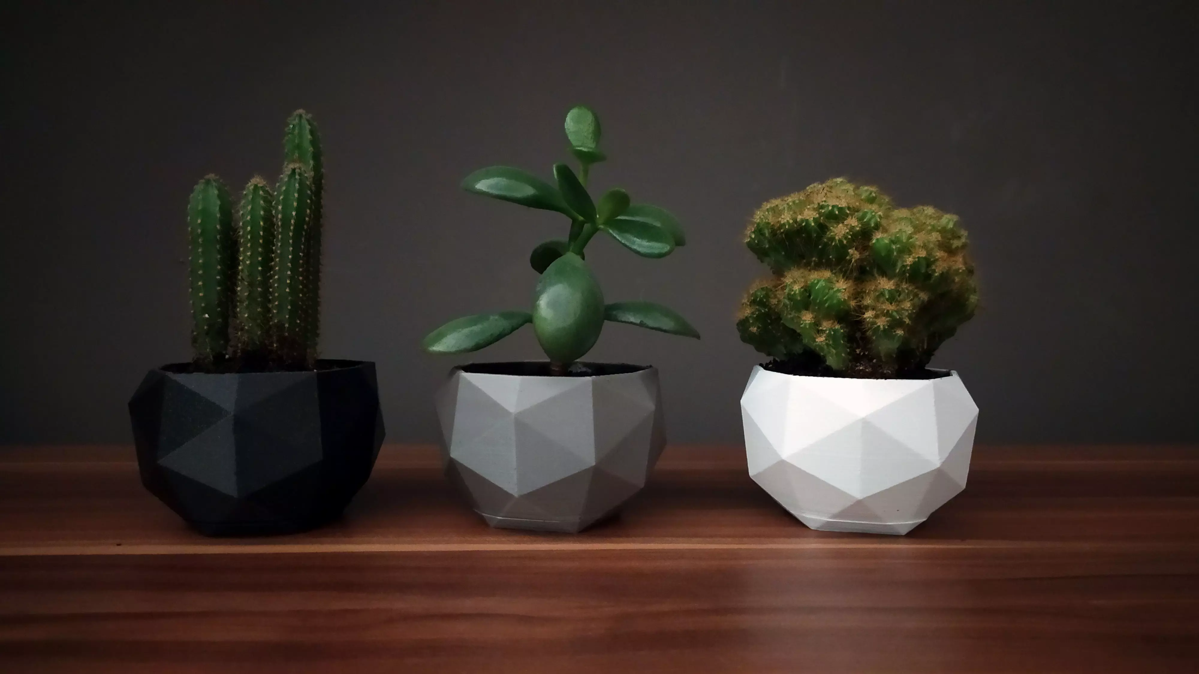 Low poly flower pot 3D model 3D printable | CGTrader