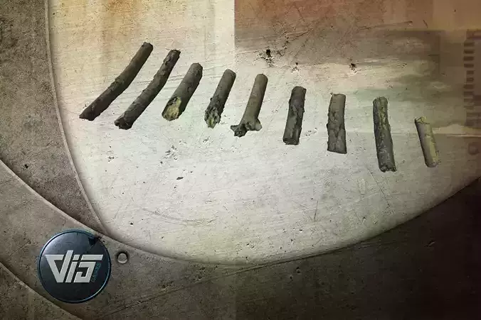 Scanned Branches Low-poly 3D model