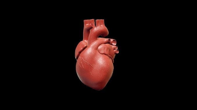 Heart human Low-poly 3D model