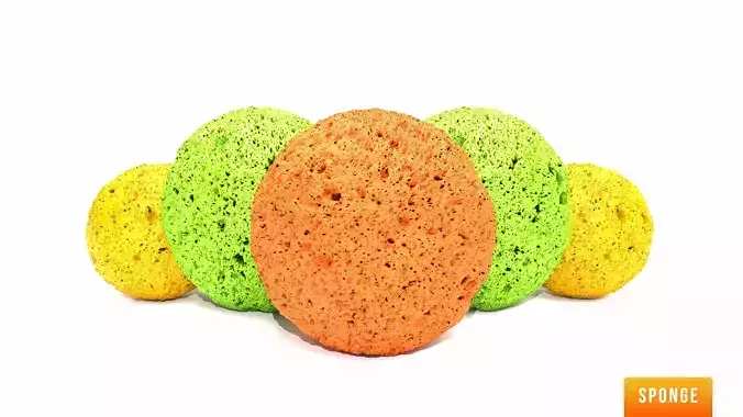 PBR Sponge Colorful 