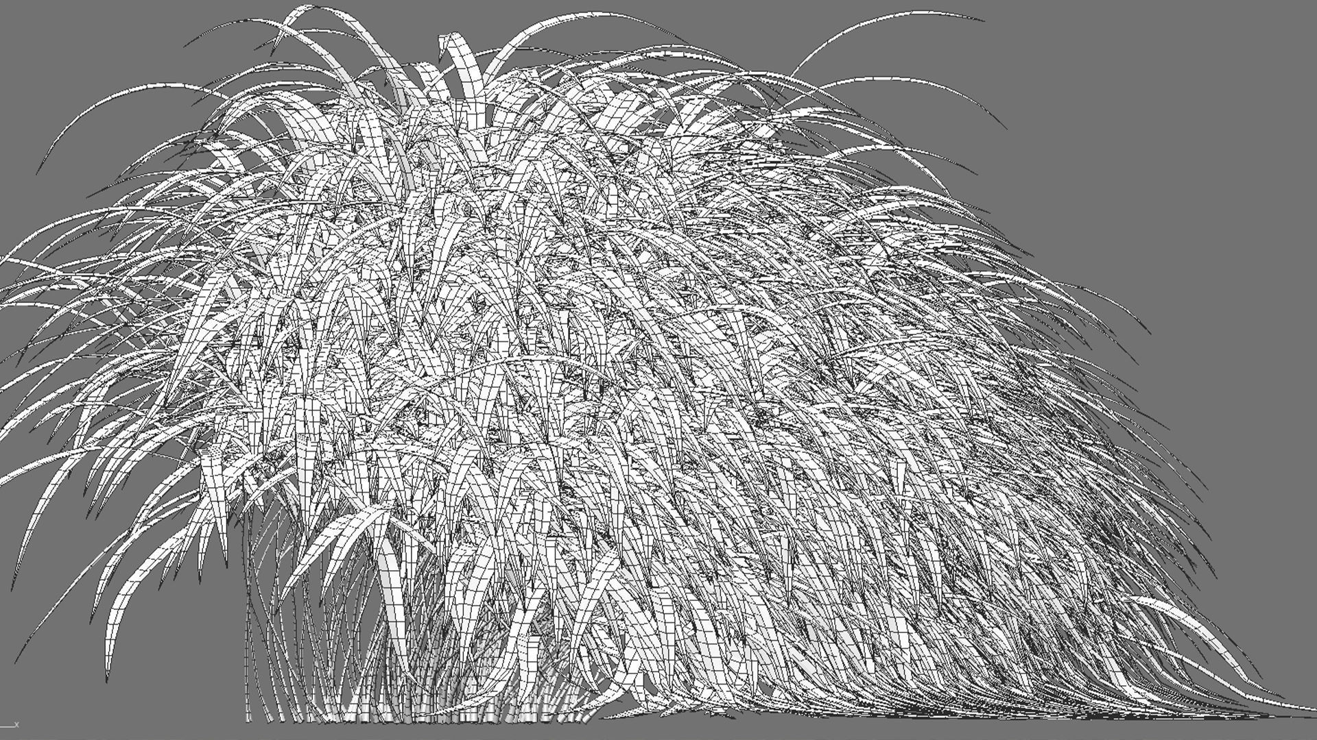 Hakonechloa macra - Japanese forest grass 3D model_11