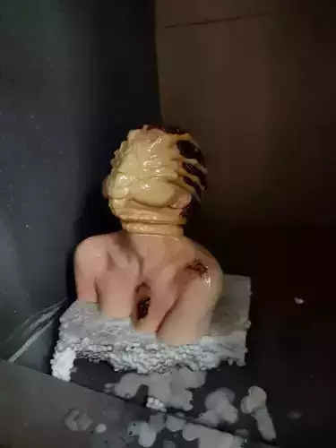 Facehugger Alien  wuman monster 3D print model