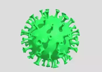 Corona virus Model