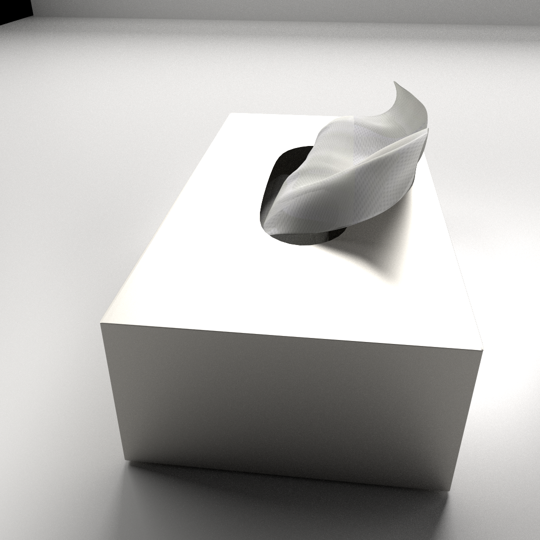 Tissue Box 3D model_2