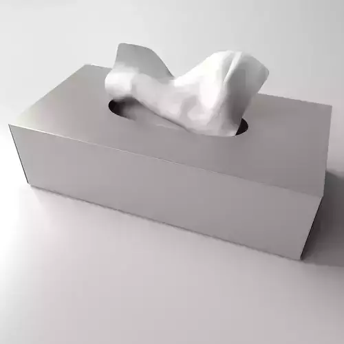 Tissue Box 3D model