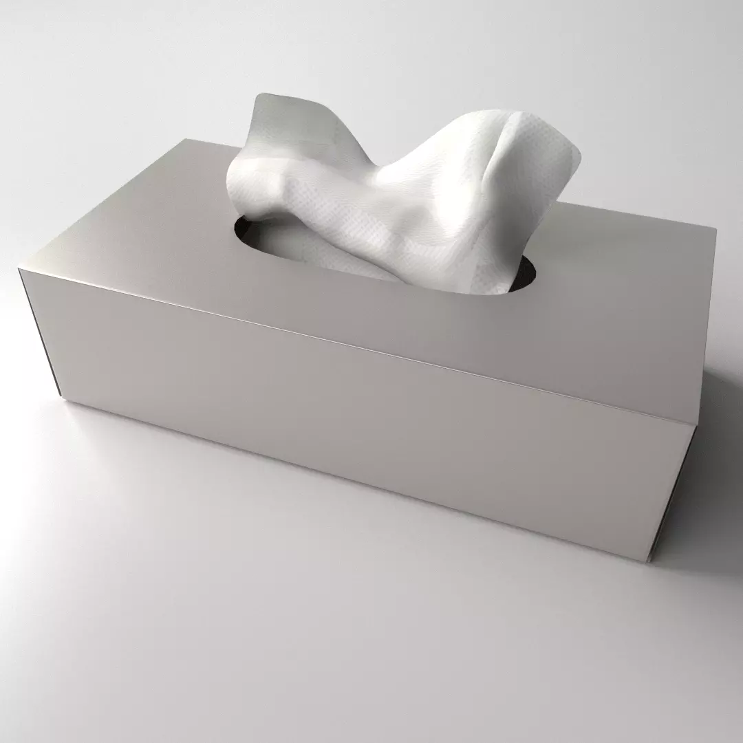 Tissue Box 3D model_0