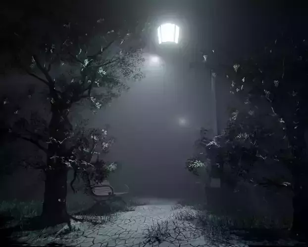 NIGHT FOREST PARK  FEELING FULL