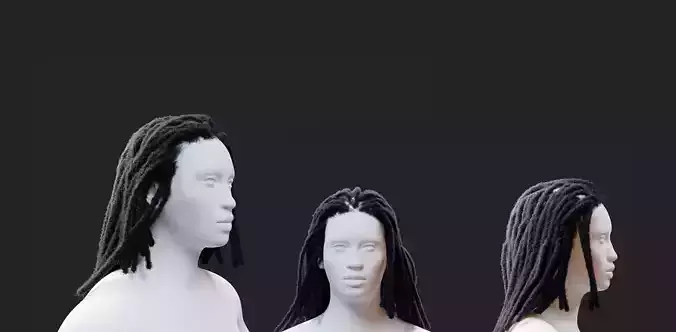Long Dreadlocks 3D model